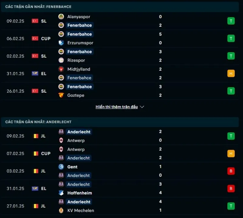 Tổng quan trước trận Fenerbahce vs Anderlecht